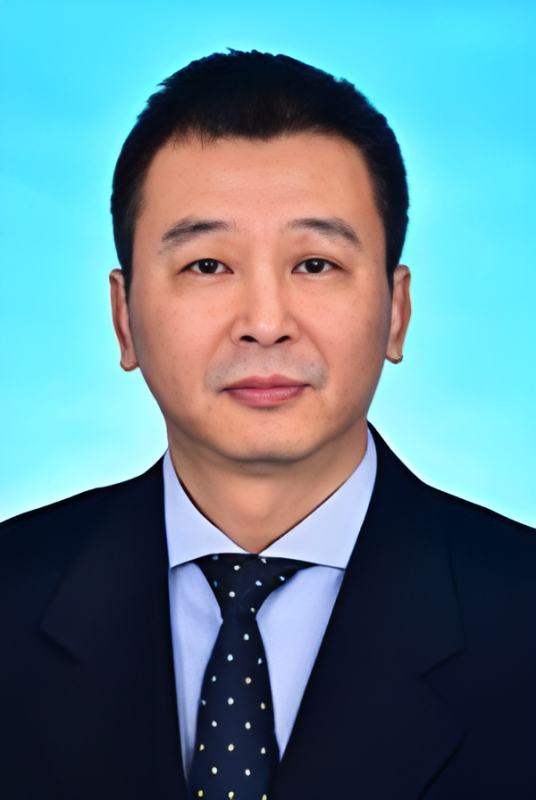 刘鸿（四川省成都市成华区人大常委会一级巡视员）