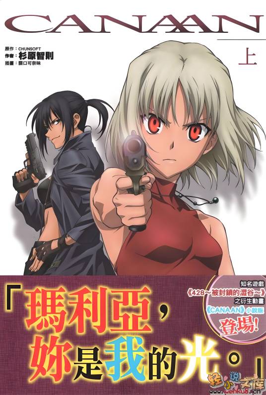 迦南（杉原智则作小说）