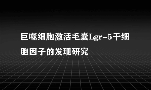 巨噬细胞激活毛囊Lgr-5干细胞因子的发现研究