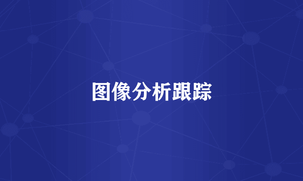 图像分析跟踪