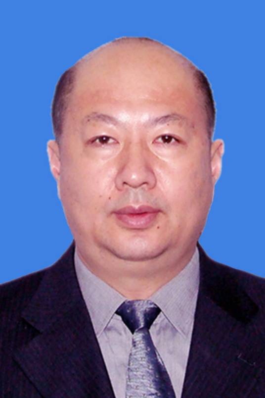 陈军（河北省邯郸市原副市长）