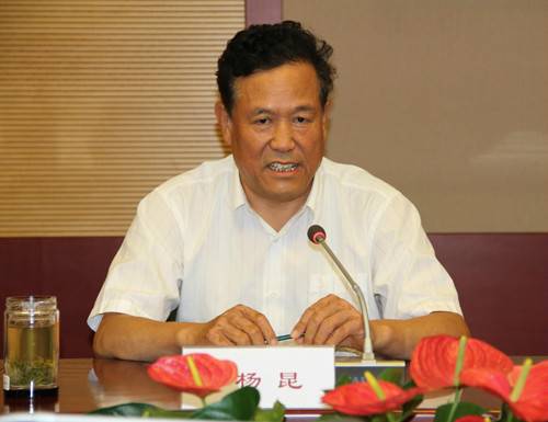 杨昆（中国电力企业联合会党组书记、常务副理事长）