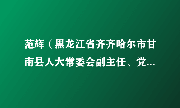 范辉（黑龙江省齐齐哈尔市甘南县人大常委会副主任、党组成员）