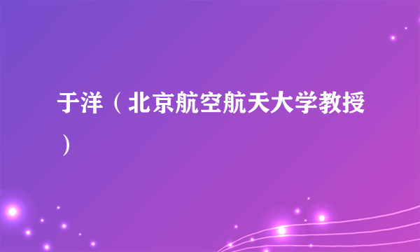 于洋（北京航空航天大学教授）