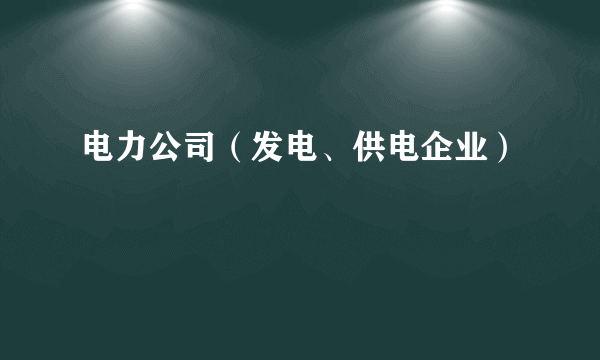 电力公司（发电、供电企业）