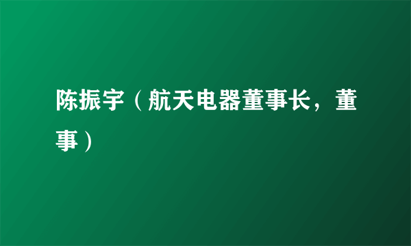 陈振宇（航天电器董事长，董事）