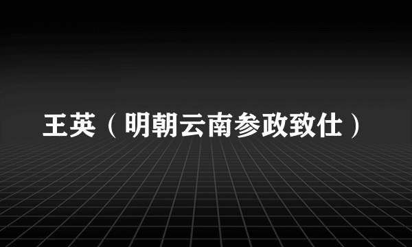 王英（明朝云南参政致仕）