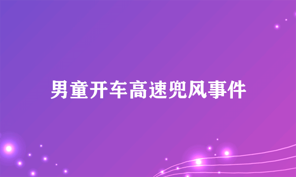 男童开车高速兜风事件