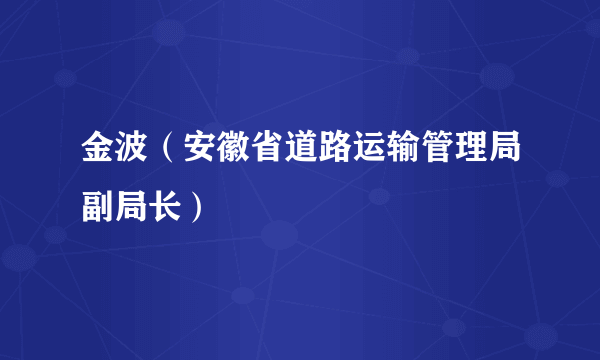 金波（安徽省道路运输管理局副局长）