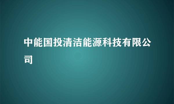 中能国投清洁能源科技有限公司