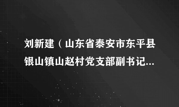 刘新建（山东省泰安市东平县银山镇山赵村党支部副书记、村委会副主任）