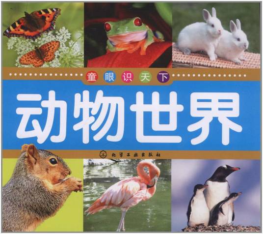 动物世界（同名科普网站）