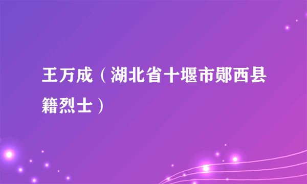 王万成（湖北省十堰市郧西县籍烈士）