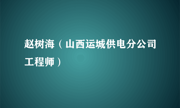 赵树海（山西运城供电分公司工程师）