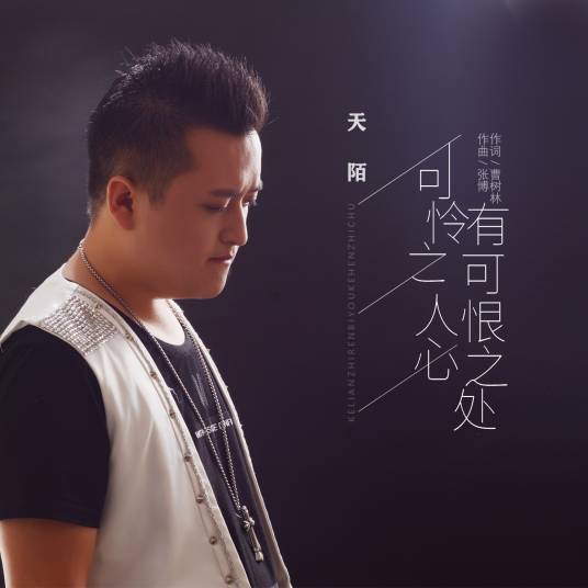 可怜之人必有可恨之处（天陌演唱歌曲）