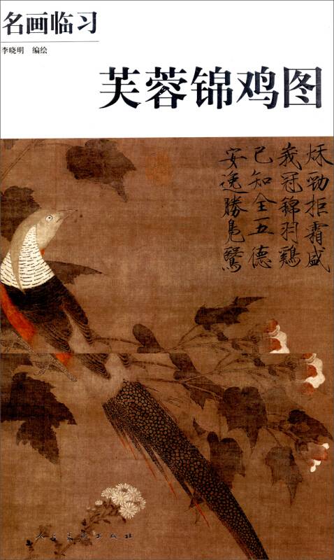 名画临习·芙蓉锦鸡图