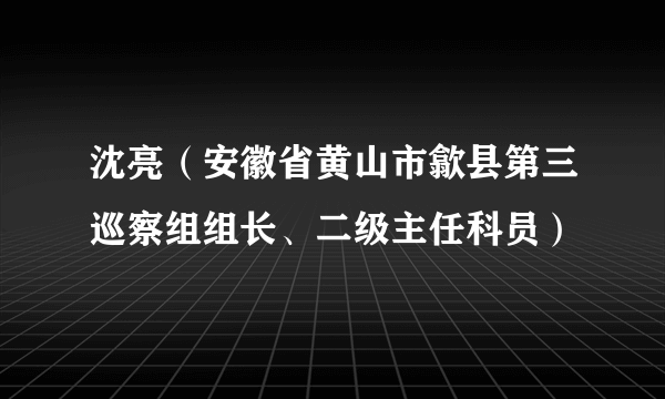沈亮（安徽省黄山市歙县第三巡察组组长、二级主任科员）