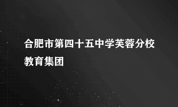合肥市第四十五中学芙蓉分校教育集团