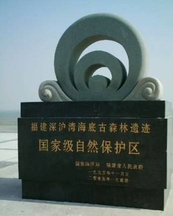 北深沪湾海底古森林遗迹自然保护区