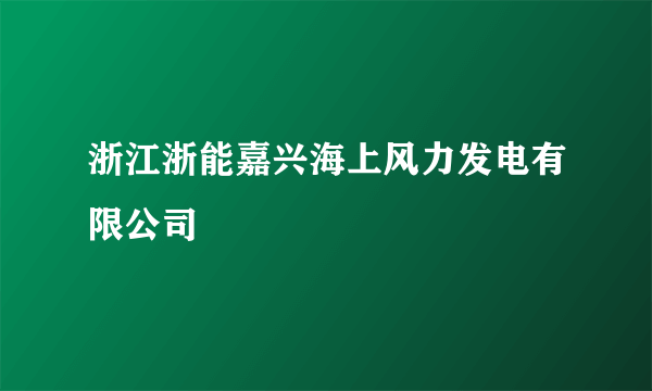 浙江浙能嘉兴海上风力发电有限公司