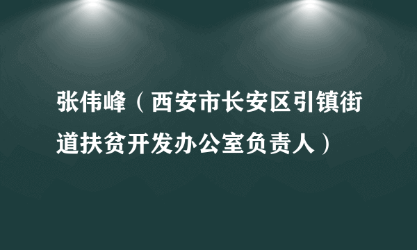 张伟峰（西安市长安区引镇街道扶贫开发办公室负责人）