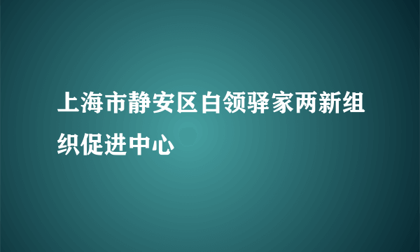 上海市静安区白领驿家两新组织促进中心