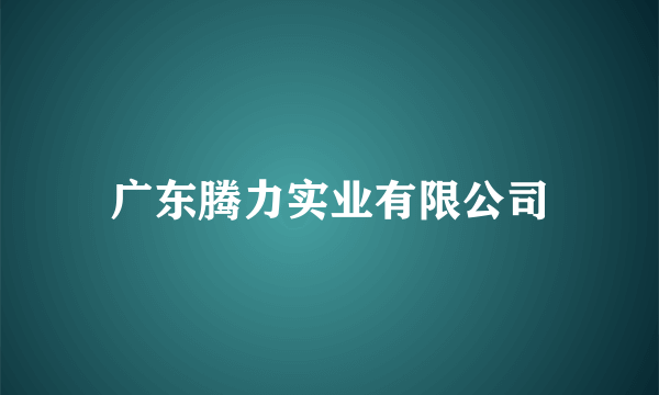 广东腾力实业有限公司