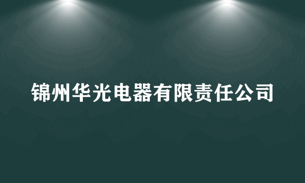 锦州华光电器有限责任公司