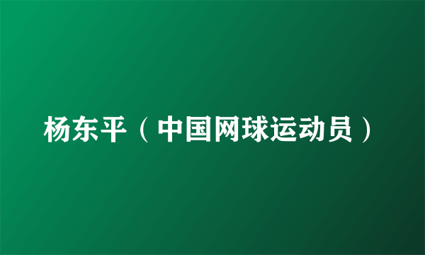 杨东平（中国网球运动员）