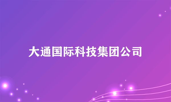 大通国际科技集团公司
