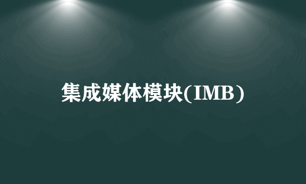 集成媒体模块(IMB)