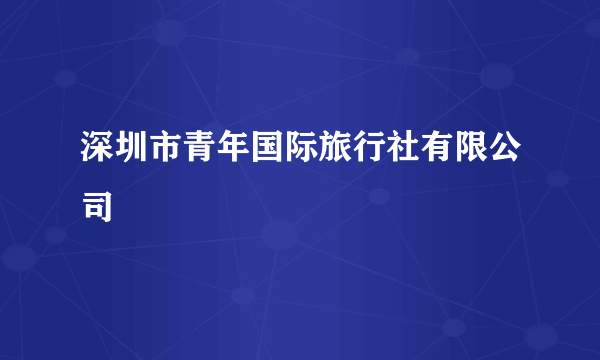 深圳市青年国际旅行社有限公司