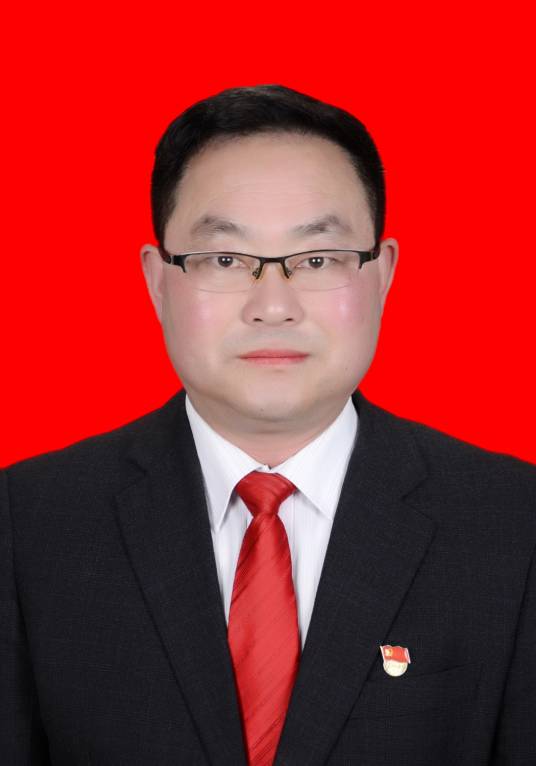 陈双（岚皋县政协副主席）
