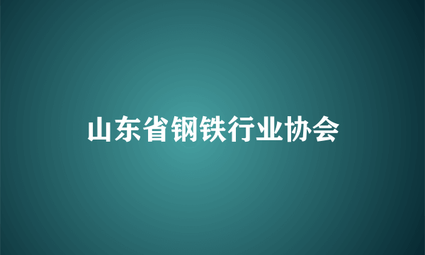 山东省钢铁行业协会