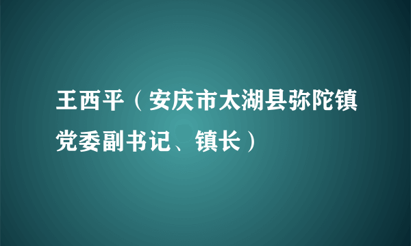 王西平（安庆市太湖县弥陀镇党委副书记、镇长）