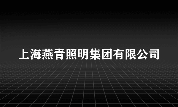 上海燕青照明集团有限公司