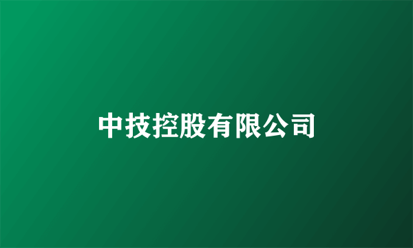 中技控股有限公司