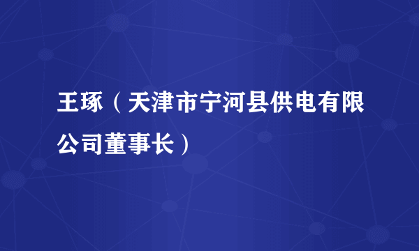 王琢（天津市宁河县供电有限公司董事长）