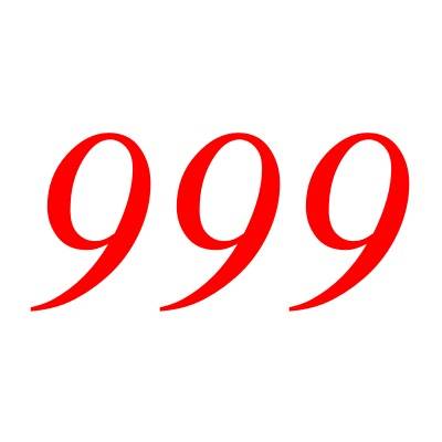 999（自然数之一）