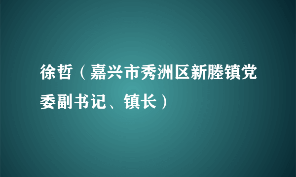 徐哲（嘉兴市秀洲区新塍镇党委副书记、镇长）