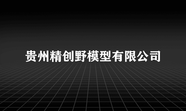 贵州精创野模型有限公司
