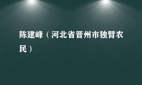 陈建峰（河北省晋州市独臂农民）