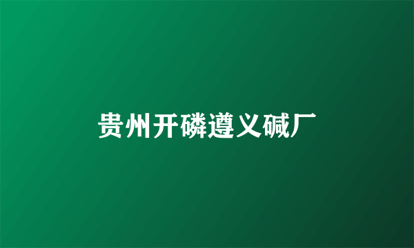 贵州开磷遵义碱厂