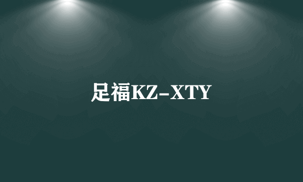 足福KZ-XTY