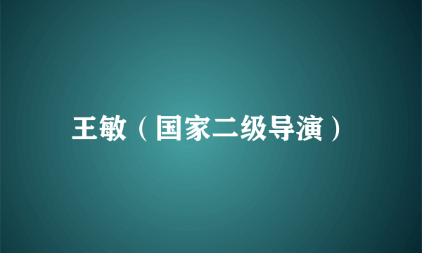 王敏（国家二级导演）