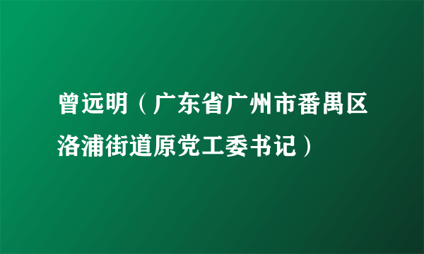 曾远明（广东省广州市番禺区洛浦街道原党工委书记）