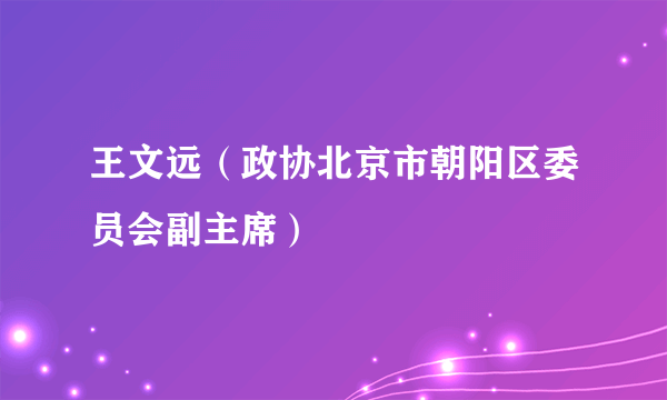 王文远（政协北京市朝阳区委员会副主席）