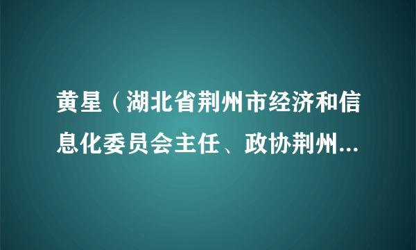 黄星（湖北省荆州市经济和信息化委员会主任、政协荆州市第六届委员会副主席）
