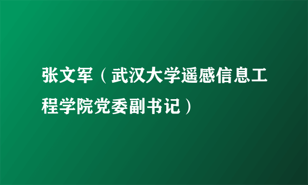 张文军（武汉大学遥感信息工程学院党委副书记）