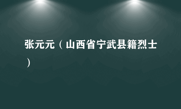 张元元（山西省宁武县籍烈士）